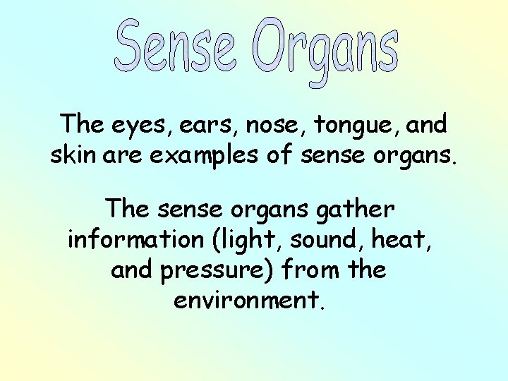 The eyes, ears, nose, tongue, and skin are examples of sense organs. The sense The eyes, ears, nose, tongue, and skin are examples of sense organs. The sense