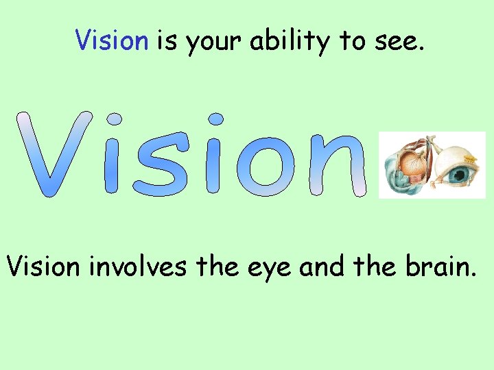 Vision is your ability to see. Vision involves the eye and the brain. Vision is your ability to see. Vision involves the eye and the brain.