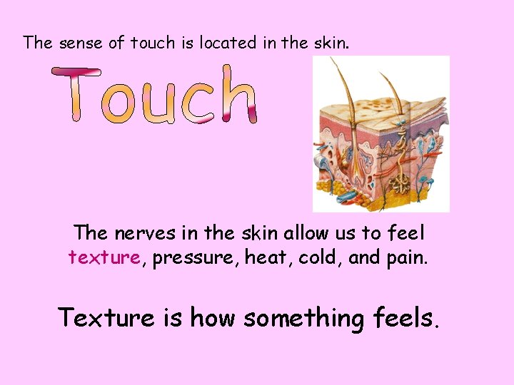 The sense of touch is located in the skin. The nerves in the skin The sense of touch is located in the skin. The nerves in the skin