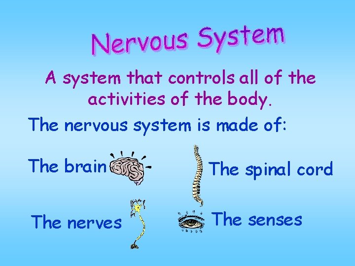 A system that controls all of the activities of the body. The nervous system A system that controls all of the activities of the body. The nervous system