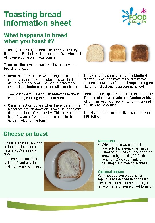 Toasting bread information sheet What happens to bread when you toast it? Toasting bread