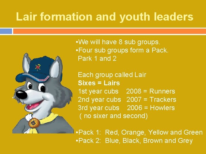 Lair formation and youth leaders • We will have 8 sub groups. • Four