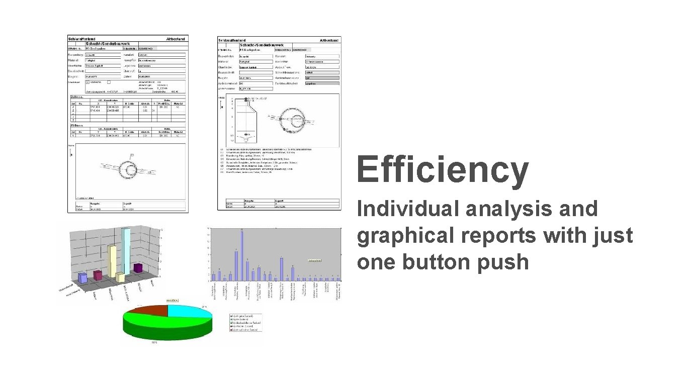 Efficiency Individual analysis and graphical reports with just one button push 