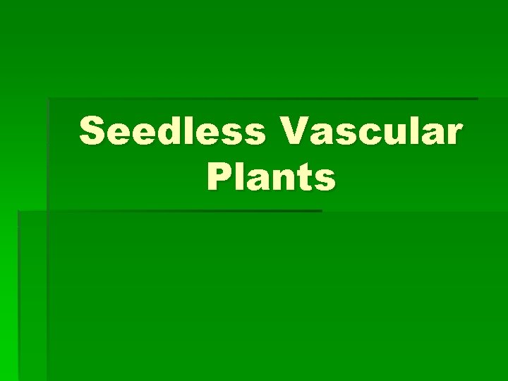 Seedless Vascular Plants 