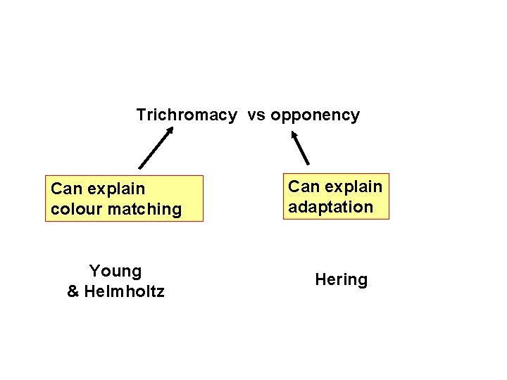 Trichromacy vs opponency Can explain colour matching Young & Helmholtz Can explain adaptation Hering