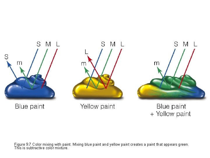 Figure 9. 7 Color mixing with paint. Mixing blue paint and yellow paint creates