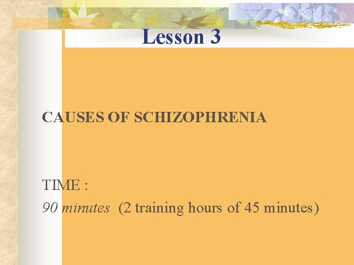 Lesson 3 CAUSES OF SCHIZOPHRENIA TIME : 90 minutes (2 training hours of 45