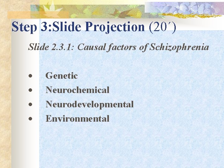 Step 3: Slide Projection (20΄) Slide 2. 3. 1: Causal factors of Schizophrenia ·