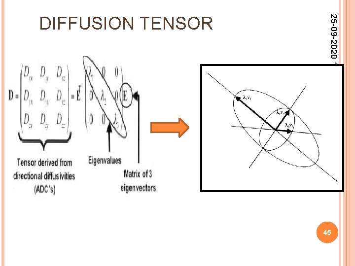 25 -09 -2020 17: 53 DIFFUSION TENSOR 45 