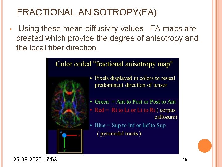 FRACTIONAL ANISOTROPY(FA) • Using these mean diffusivity values, FA maps are created which provide