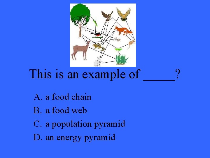 This is an example of _____? A. a food chain B. a food web