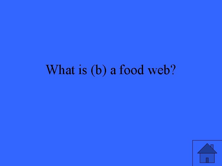 What is (b) a food web? 