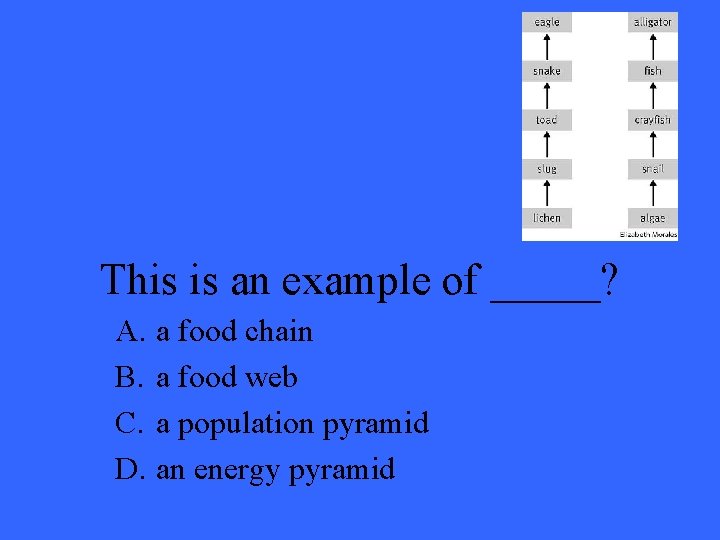 This is an example of _____? A. a food chain B. a food web