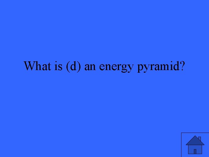 What is (d) an energy pyramid? 