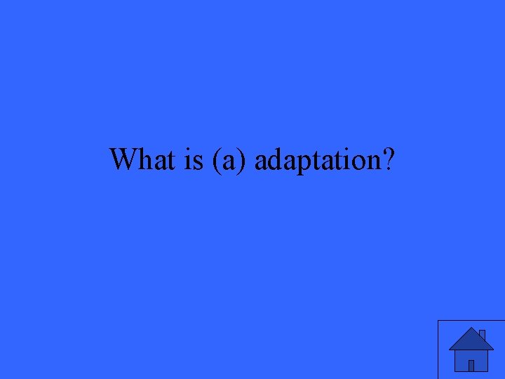 What is (a) adaptation? 