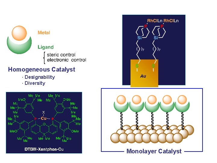 Homogeneous Catalyst · Designability · Diversity Au Monolayer Catalyst 