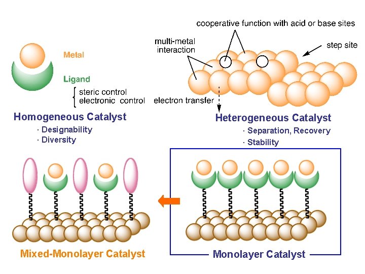 Homogeneous Catalyst · Designability · Diversity Mixed-Monolayer Catalyst Heterogeneous Catalyst · Separation, Recovery ·
