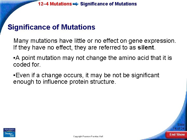 12– 4 Mutations Significance of Mutations Many mutations have little or no effect on