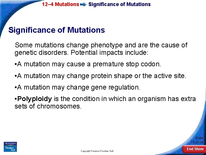 12– 4 Mutations Significance of Mutations Some mutations change phenotype and are the cause