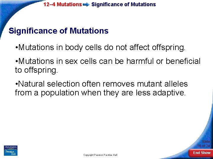 12– 4 Mutations Significance of Mutations • Mutations in body cells do not affect