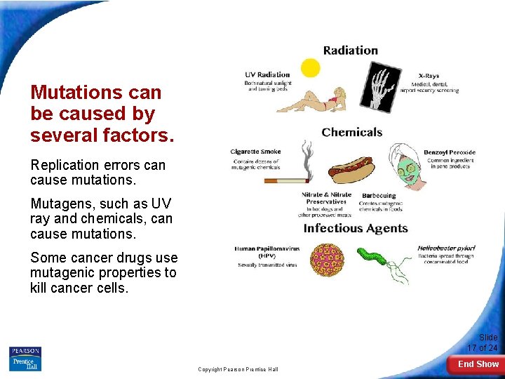 Mutations can be caused by several factors. Replication errors can cause mutations. Mutagens, such