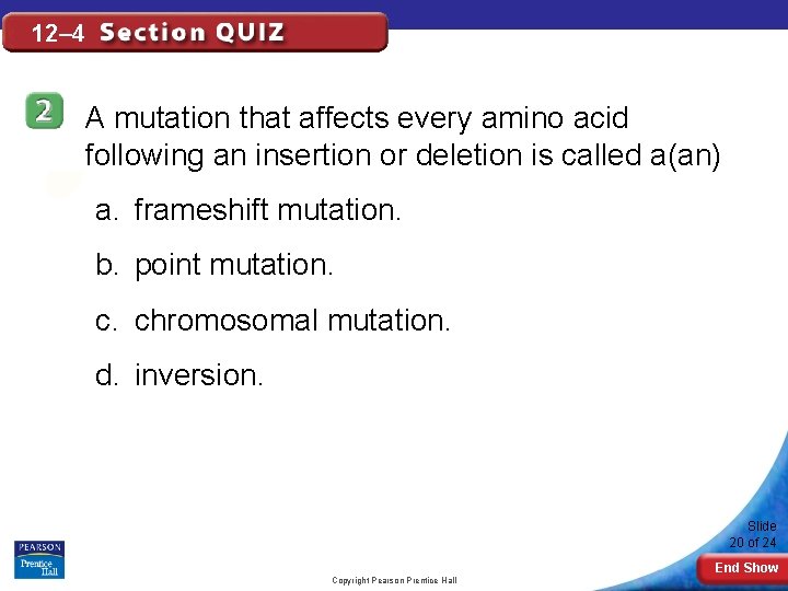 12– 4 A mutation that affects every amino acid following an insertion or deletion