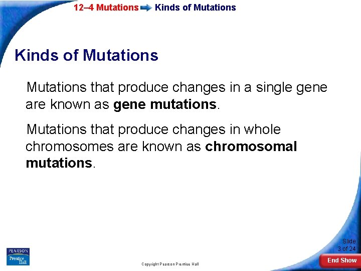 12– 4 Mutations Kinds of Mutations that produce changes in a single gene are