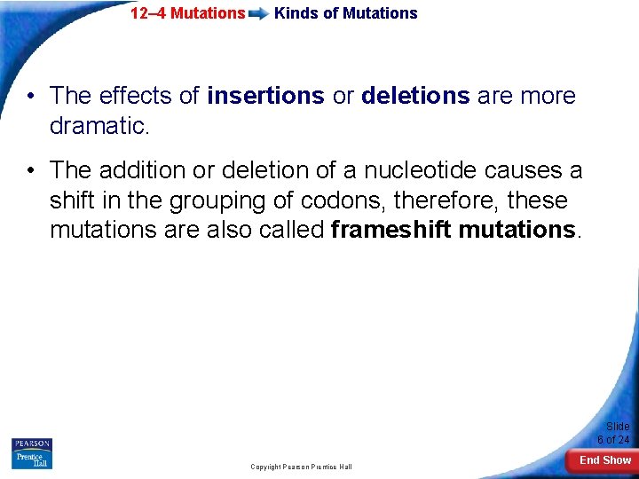 12– 4 Mutations Kinds of Mutations • The effects of insertions or deletions are