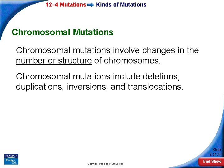 12– 4 Mutations Kinds of Mutations Chromosomal mutations involve changes in the number or