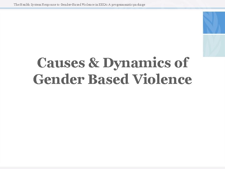 The Health System Response to Gender-Based Violence in EECA: A programmatic package Causes &