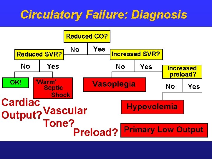 Circulatory Failure: Diagnosis Cardiac Vascular Output? Tone? Preload? 