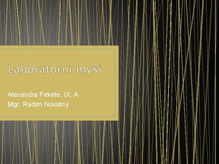 Laboratorní myši Alexandra Fekete, IX. A Mgr. Radim Novotný 