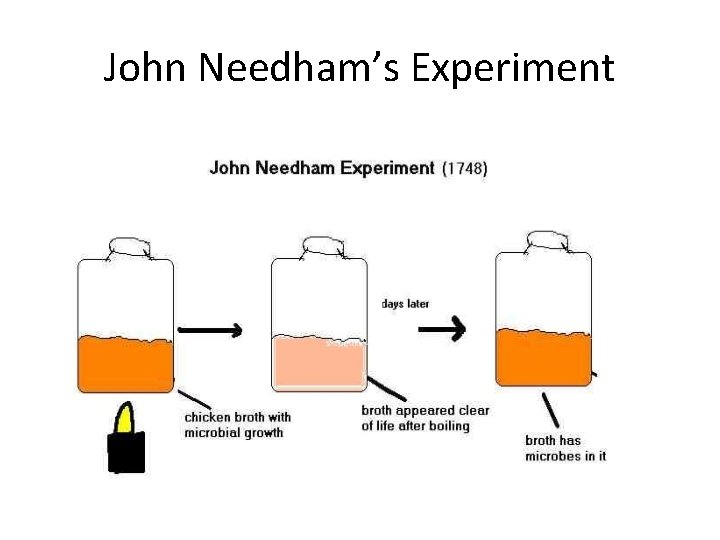 John Needham’s Experiment 
