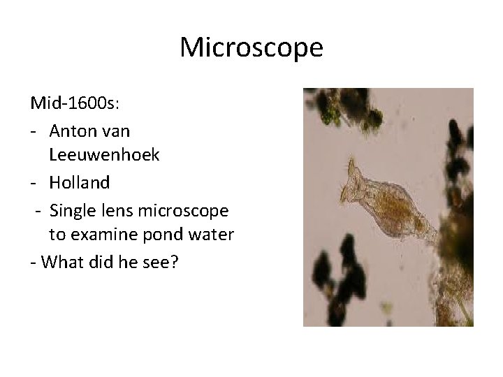 Microscope Mid-1600 s: - Anton van Leeuwenhoek - Holland - Single lens microscope to