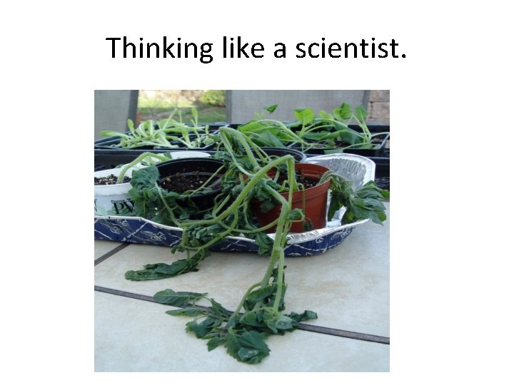 Thinking like a scientist. 