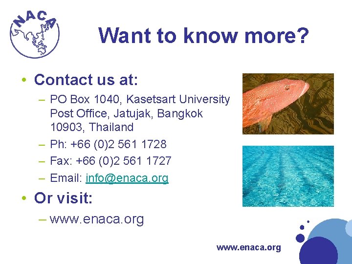 Want to know more? • Contact us at: – PO Box 1040, Kasetsart University Want to know more? • Contact us at: – PO Box 1040, Kasetsart University
