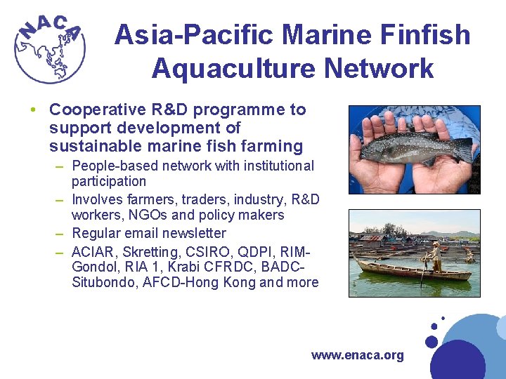 Asia-Pacific Marine Finfish Aquaculture Network • Cooperative R&D programme to support development of sustainable Asia-Pacific Marine Finfish Aquaculture Network • Cooperative R&D programme to support development of sustainable