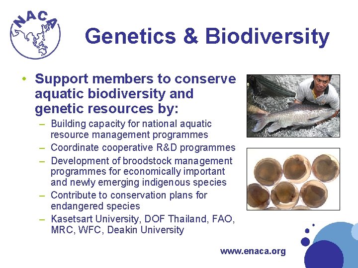 Genetics & Biodiversity • Support members to conserve aquatic biodiversity and genetic resources by: Genetics & Biodiversity • Support members to conserve aquatic biodiversity and genetic resources by: