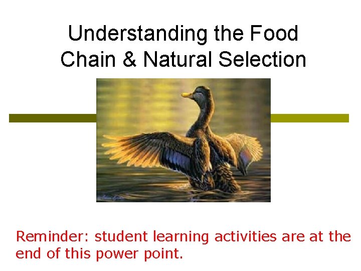 Understanding the Food Chain & Natural Selection Reminder: student learning activities are at the