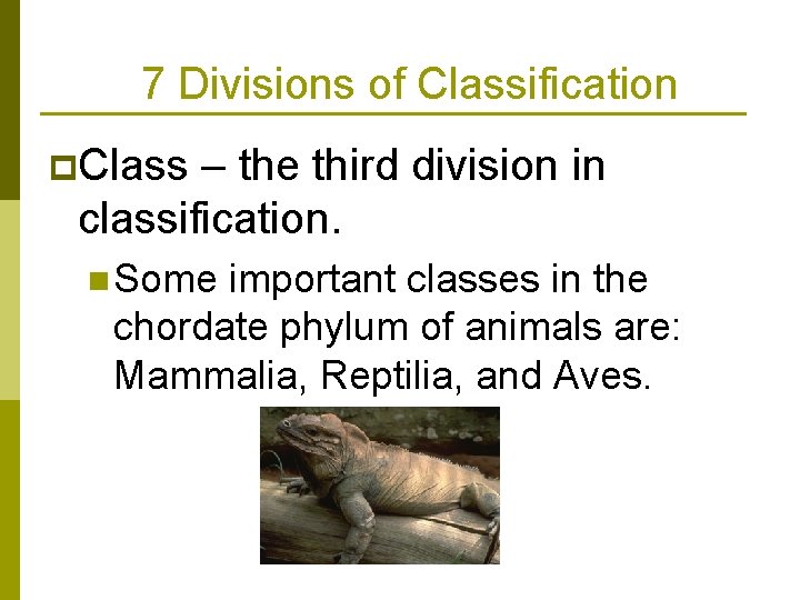 7 Divisions of Classification p. Class – the third division in classification. n Some