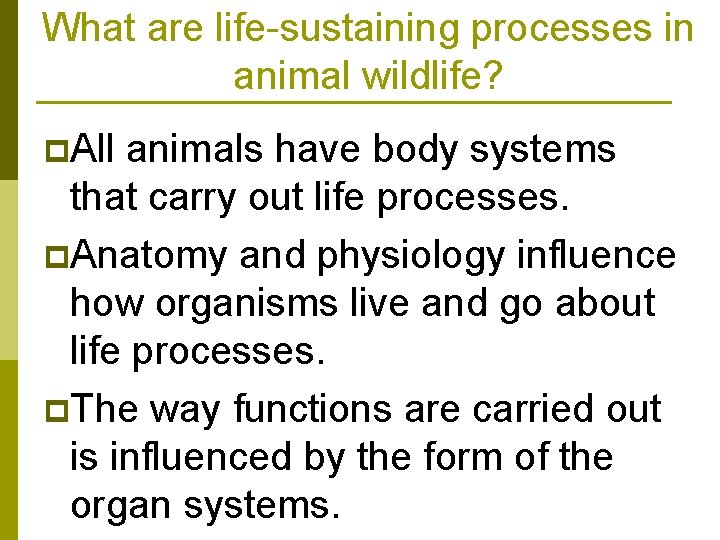 What are life-sustaining processes in animal wildlife? p. All animals have body systems that