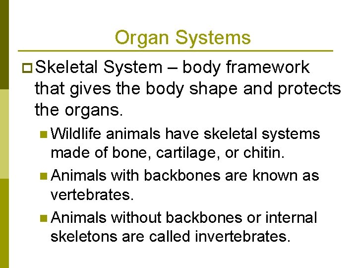 Organ Systems p Skeletal System – body framework that gives the body shape and