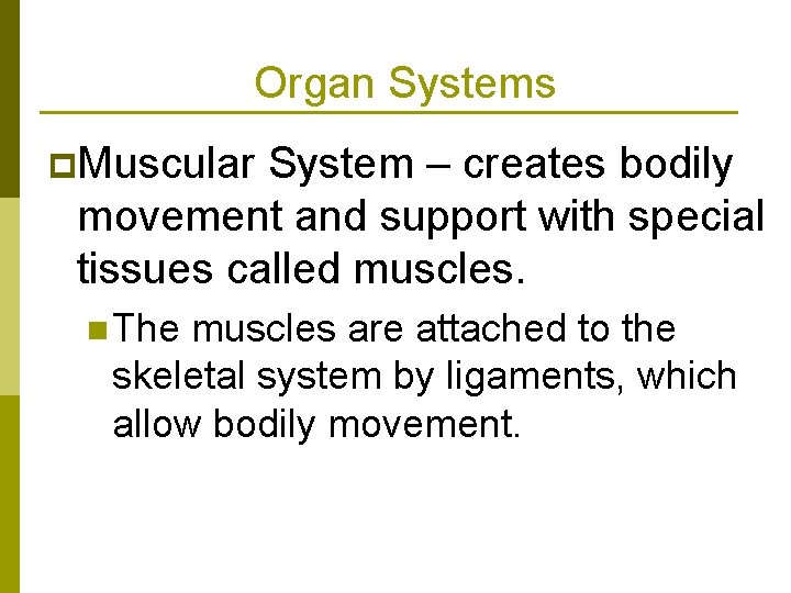 Organ Systems p. Muscular System – creates bodily movement and support with special tissues