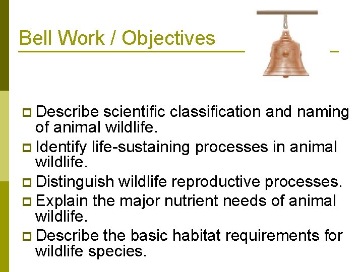 Bell Work / Objectives p Describe scientific classification and naming of animal wildlife. p