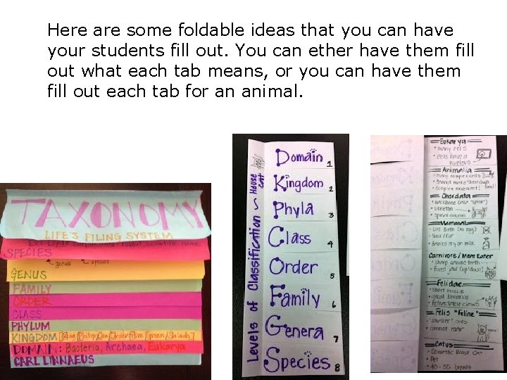 Here are some foldable ideas that you can have your students fill out. You