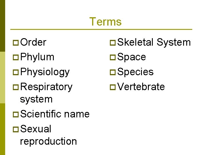 Terms p Order p Skeletal p Phylum p Space p Physiology p Species p