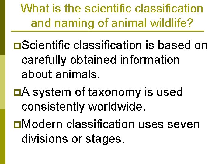 What is the scientific classification and naming of animal wildlife? p. Scientific classification is