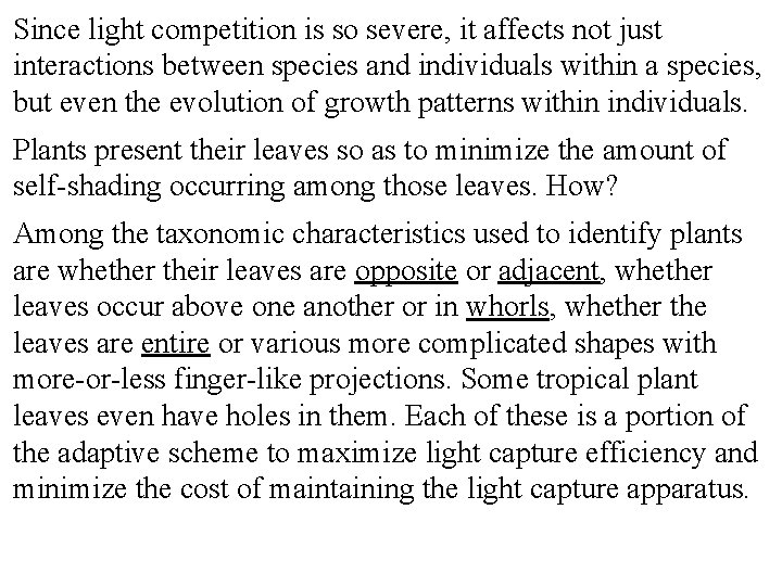 Since light competition is so severe, it affects not just interactions between species and