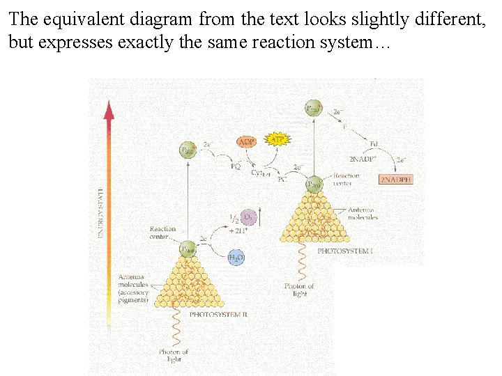 The equivalent diagram from the text looks slightly different, but expresses exactly the same