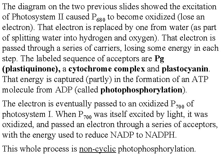 The diagram on the two previous slides showed the excitation of Photosystem II caused